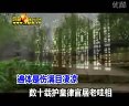 河南豫剧纯伴奏视频及原唱大全(河南豫剧伴奏曲)